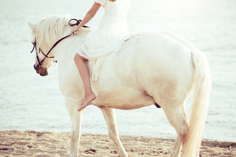Muchacha en el vestido blanco con el caballo en la playa imagen de archivo Muchacha en el vestido blanco con el caballo en la playa imagen de archivo