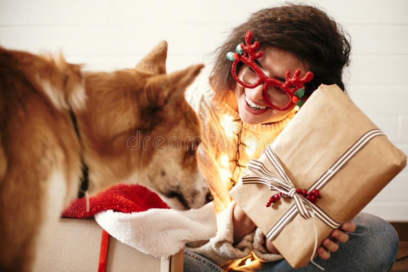 Muchacha feliz elegante con la caja de regalo de la Navidad en luces de la Navidad y sonrisa al perro de oro lindo Mujer joven en fotografía de archivo Muchacha feliz elegante con la caja de regalo de la Navidad en luces de la Navidad y sonrisa al perro de oro lindo Mujer joven en fotografía de archivo