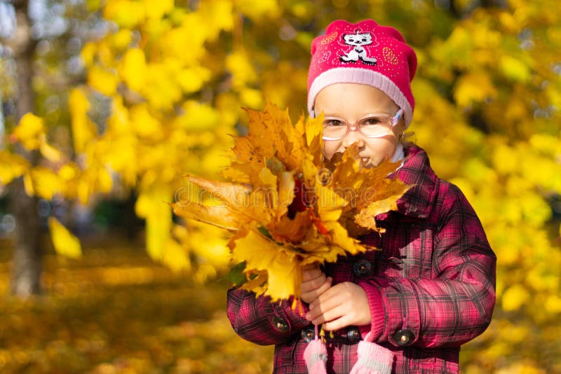 Muchacha feliz que juega con las hojas caidas en parque del otoño imagen de archivo libre de regalías Muchacha feliz que juega con las hojas caidas en parque del otoño imagen de archivo libre de regalías