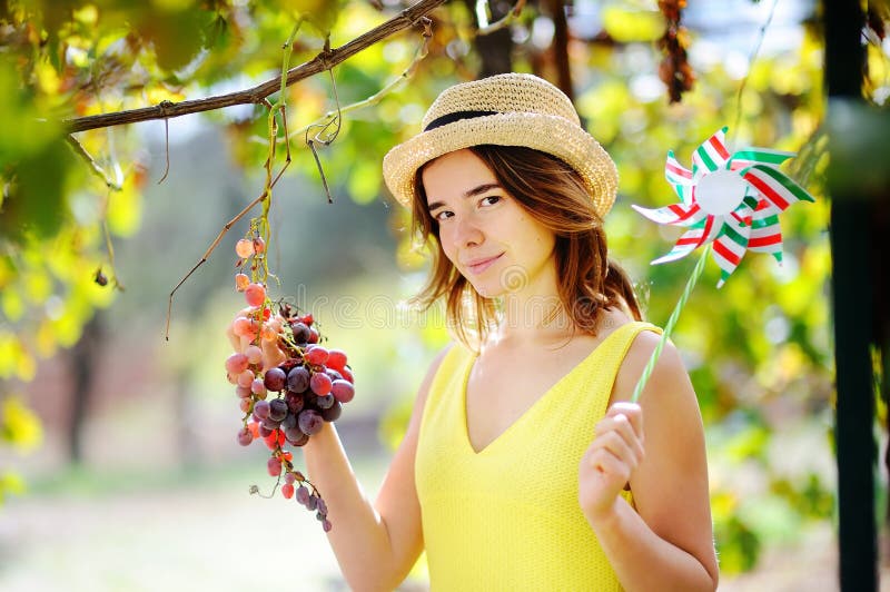 Muchacha hermosa joven que escoge la uva suave en día soleado en Italia foto de archivo Muchacha hermosa joven que escoge la uva suave en día soleado en Italia foto de archivo