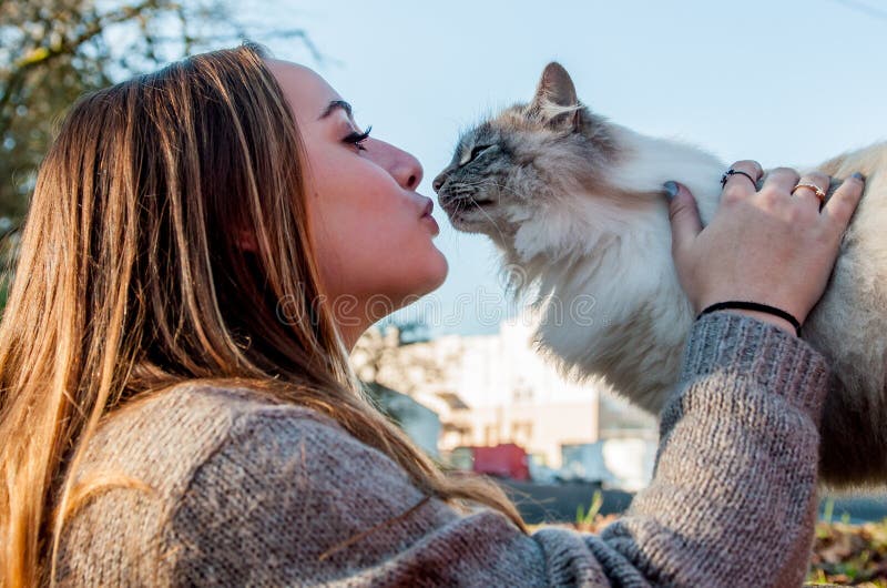 A beautiful girl plays with a stray cat on a sunny day. A beautiful girl plays with a stray cat on a sunny day