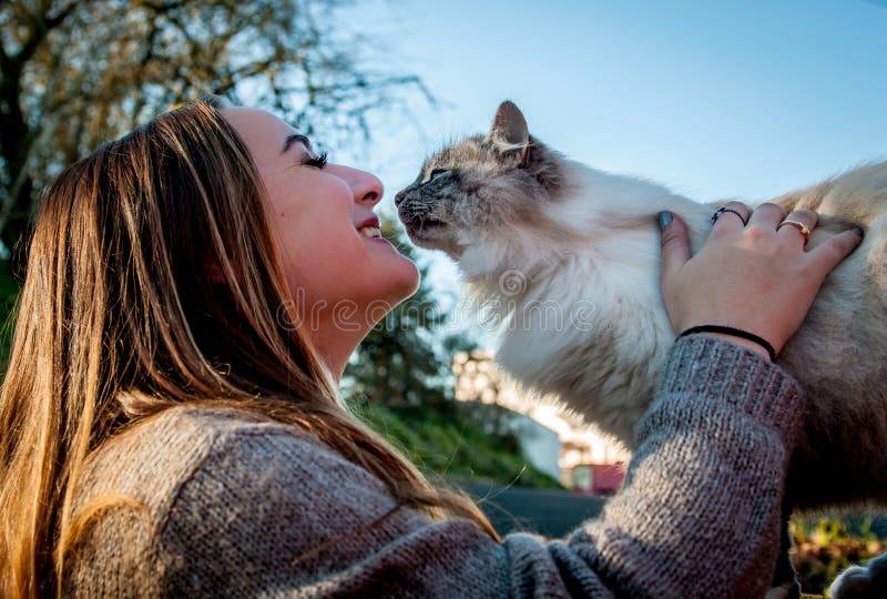 A beautiful girl plays with a stray cat on a sunny day. A beautiful girl plays with a stray cat on a sunny day