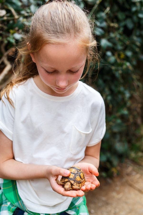 Muchacha linda que sostiene la tortuga del bebé fotografía de archivo Muchacha linda que sostiene la tortuga del bebé fotografía de archivo