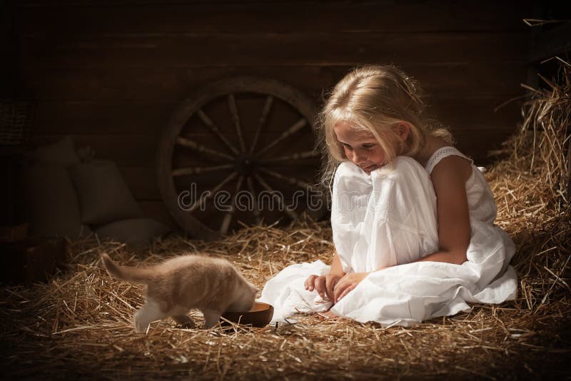 Little girl feeding a kitten milk in barn. Little girl feeding a kitten milk in barn