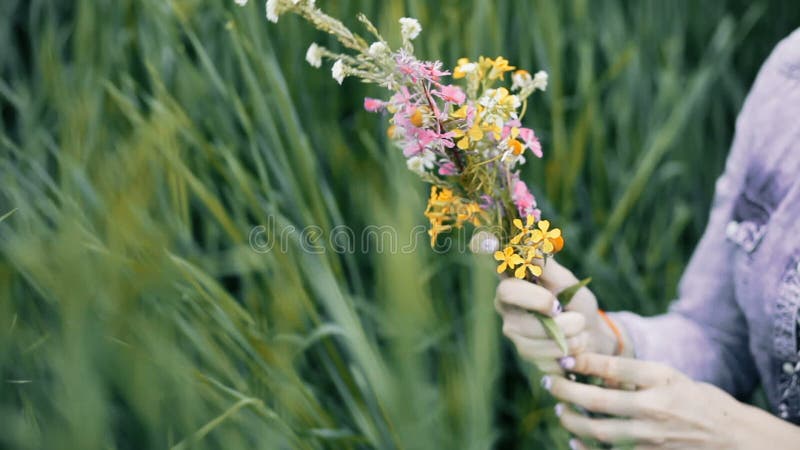 Muchacha que clasifica los wildflowers Mujer que hace un ramo paganism