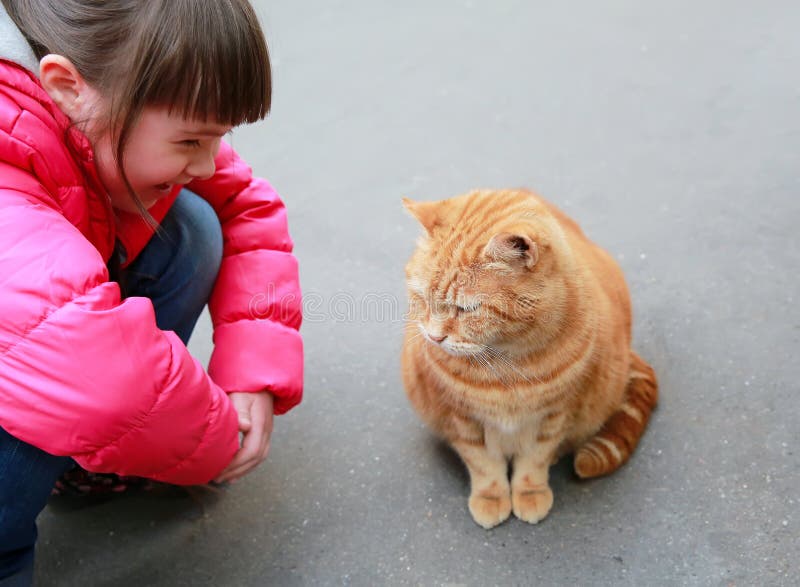 Girl speaking with cat on the street. Girl speaking with cat on the street