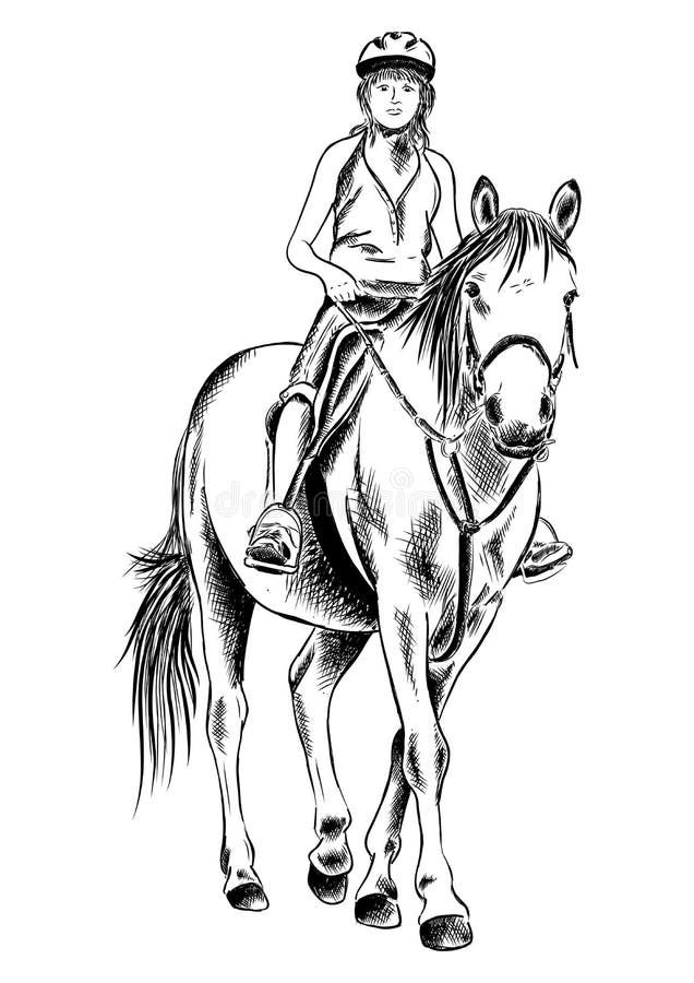 Muchacha y caballo libre illustration Muchacha y caballo libre illustration