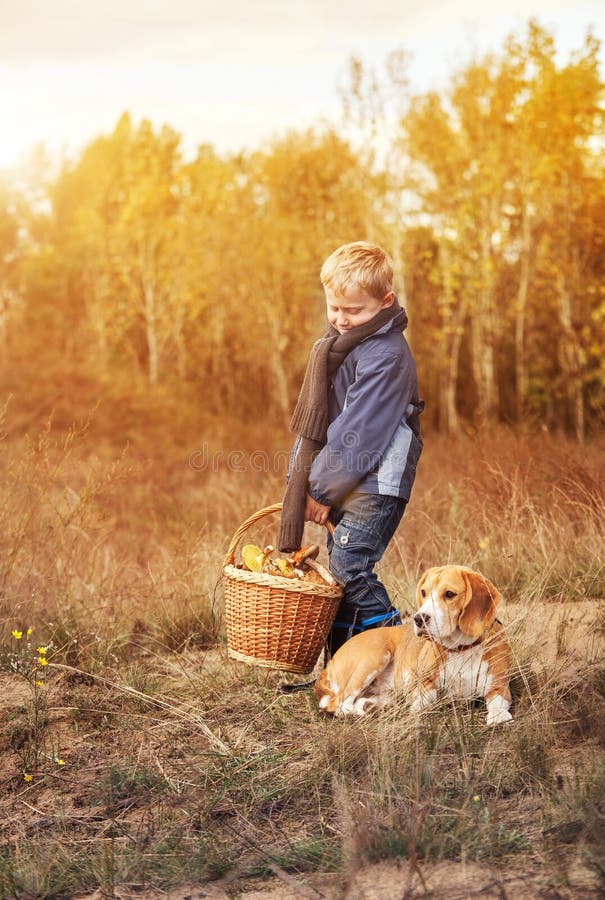 Muchacho con la cesta llena de setas con el perro en el claro del bosque