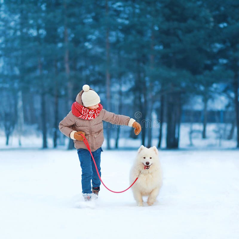 Muchacho feliz del adolescente que corre y que juega con el perro blanco del samoyedo al aire libre en el parque en un día de inv imagen de archivo libre de regalías Muchacho feliz del adolescente que corre y que juega con el perro blanco del samoyedo al aire libre en el parque en un día de inv imagen de archivo libre de regalías
