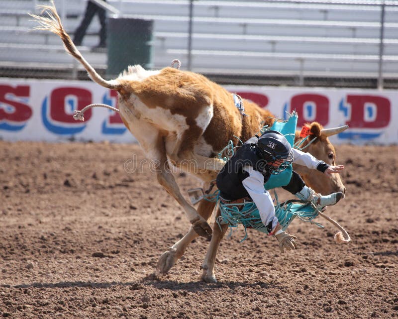Muchacho joven que se cae de rodeo del toro imagen de archivo Muchacho joven que se cae de rodeo del toro imagen de archivo