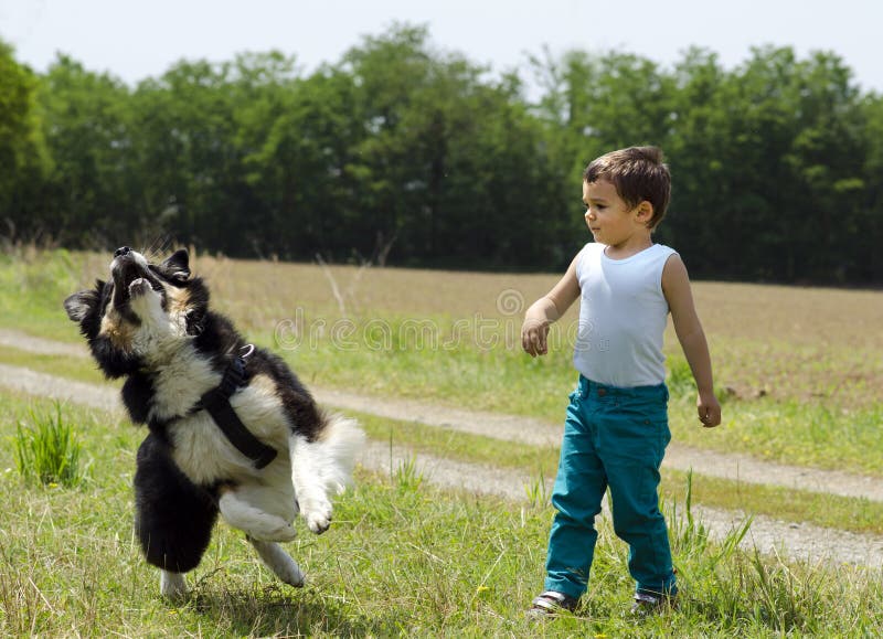 Muchacho lindo que juega búsqueda con su perro fotos de archivo libres de regalías Muchacho lindo que juega búsqueda con su perro fotos de archivo libres de regalías