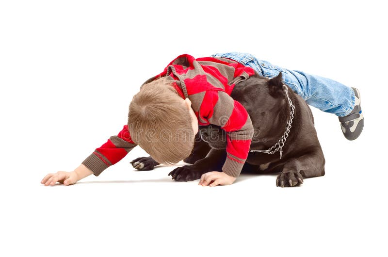 Muchacho que juega con el perro imagen de archivo Muchacho que juega con el perro imagen de archivo
