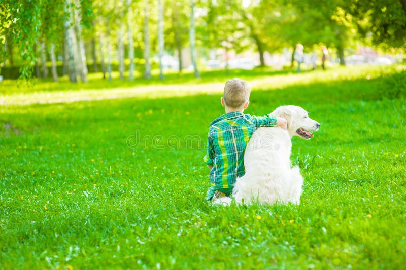 Muchacho triste que abraza el golden retriever, sentándose con el suyo de nuevo a la cámara fotografía de archivo Muchacho triste que abraza el golden retriever, sentándose con el suyo de nuevo a la cámara fotografía de archivo
