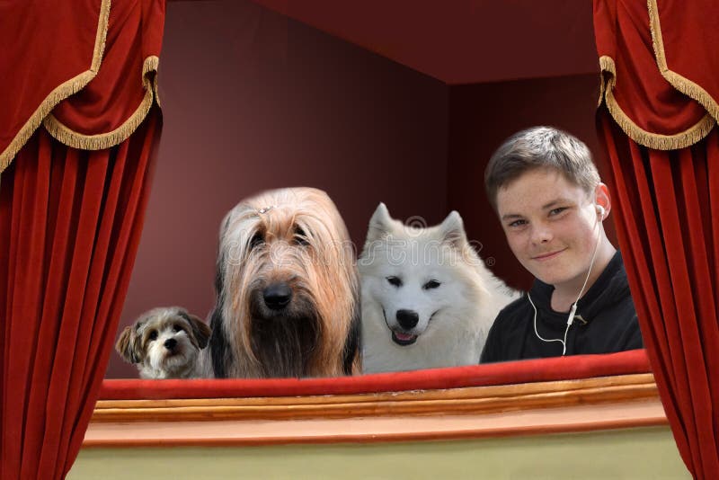 Muchacho y perros en teatro imagen de archivo Muchacho y perros en teatro imagen de archivo