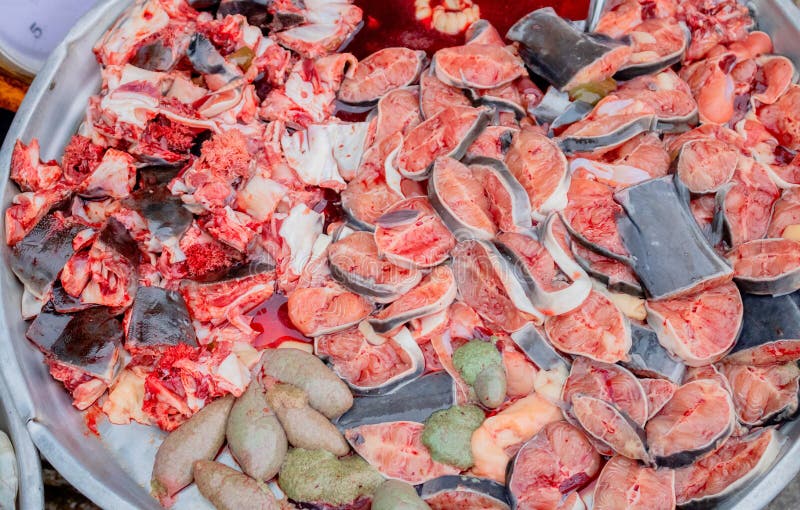 Muchas rebanadas de siluro en el lavabo de aluminio con lleno de su sangre imágenes de archivo libres de regalías Muchas rebanadas de siluro en el lavabo de aluminio con lleno de su sangre imágenes de archivo libres de regalías