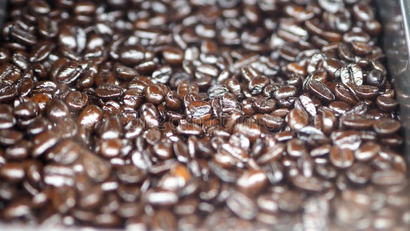 Muchos granos de café de la fuente excelente foto de archivo Muchos granos de café de la fuente excelente foto de archivo