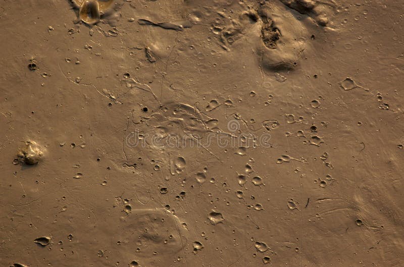 Mud with craters