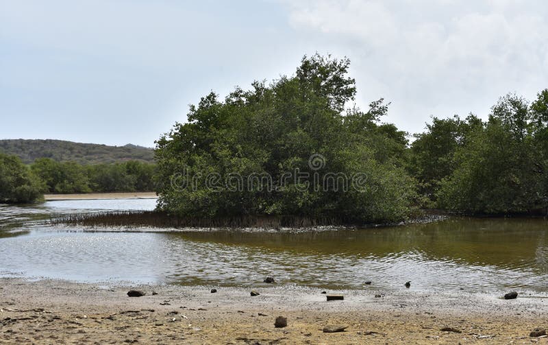 Mud Flats Surrounding the Tidal Pools of The Spanish Lagoon royalty free stock image
