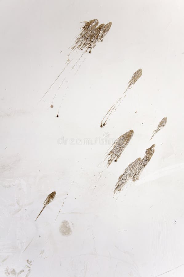 Mud marks on the white wall