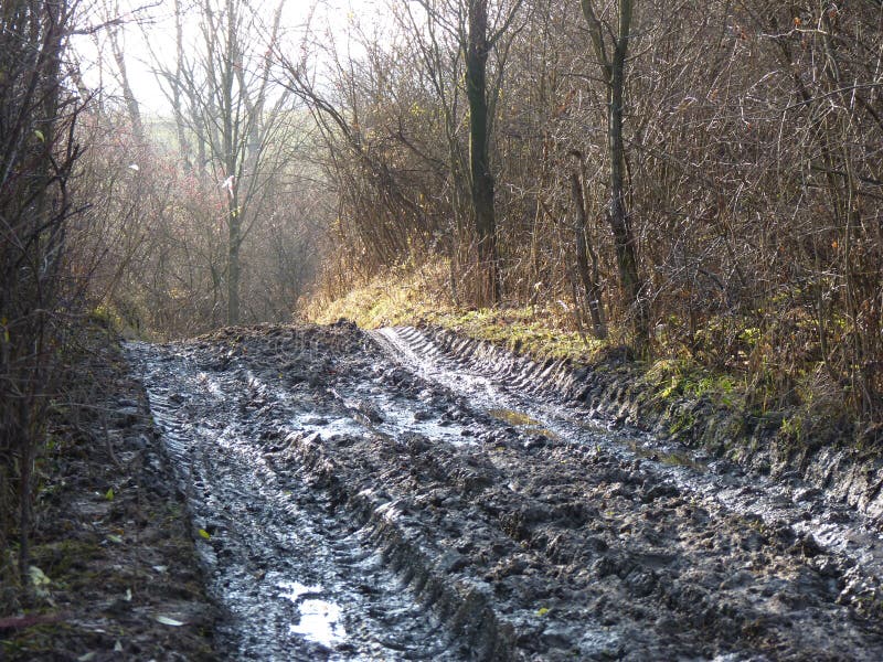 Mud and puddles on the dirt road.