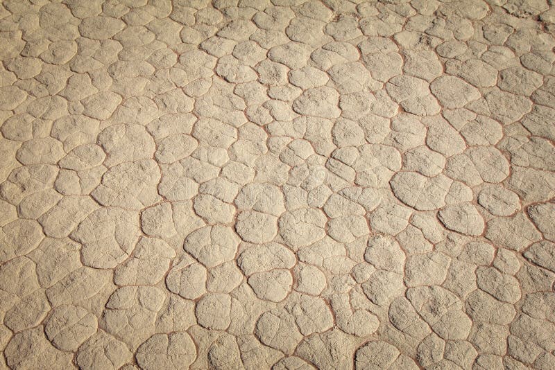 Mud texture of drying prism desiccation cracks in soil.