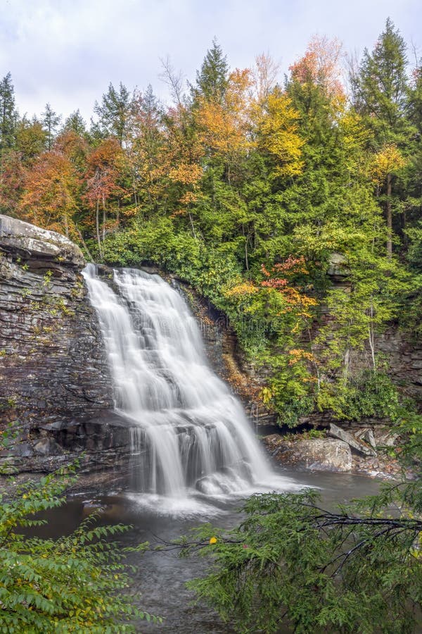 Muddy Creek Falls. Maryland`s highest free-falling waterfall, the 53-foot 16 m Muddy Creek Falls, is found just upstream from the creek`s confluence with the stock photography Muddy Creek Falls. Maryland`s highest free-falling waterfall, the 53-foot 16 m Muddy Creek Falls, is found just upstream from the creek`s confluence with the stock photography