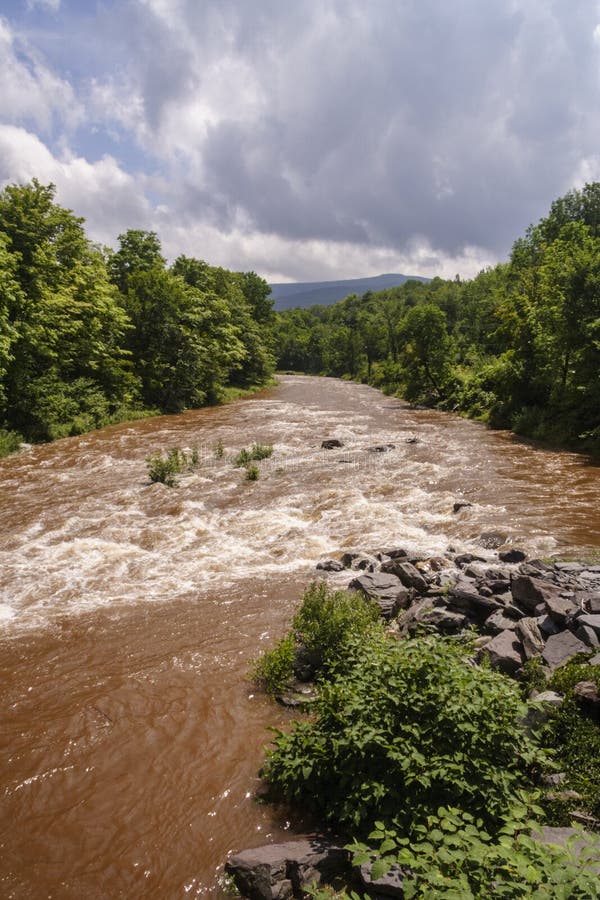 Fangoso Schoharie Creek acque dopo un forte temporale nelle Catskill mountains.