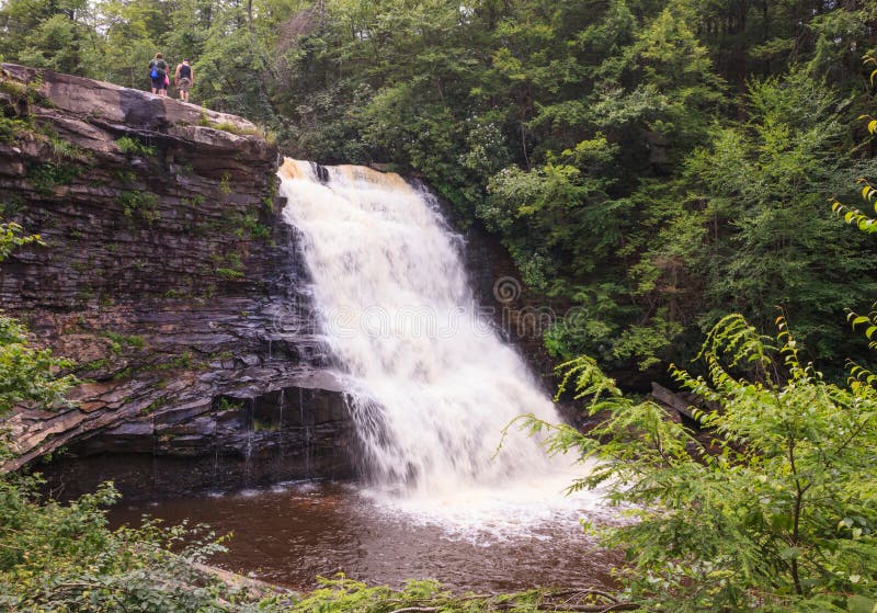 Muddy Creek Waterfall Garrett County Maryland. Muddy Creek Falls is a crashing 53-foot waterfall surrounded by tall hemlocks in Swallow Falls State Park, Oakland stock image Muddy Creek Waterfall Garrett County Maryland. Muddy Creek Falls is a crashing 53-foot waterfall surrounded by tall hemlocks in Swallow Falls State Park, Oakland stock image