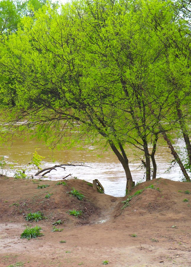 Muddy Pathway vers la rivière avec surveillé par l'arbre poussé des feuilles vert clair image stock Muddy Pathway vers la rivière avec surveillé par l'arbre poussé des feuilles vert clair image stock