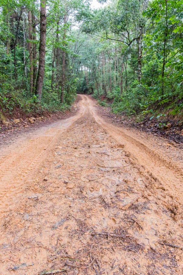 Tire Tracks on a Muddy Road in the Countryside. Stock Image Image of