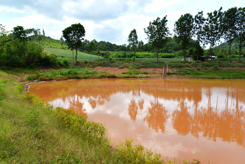 Muddy Water stock photo. Image of grass, lake, nature 56312398