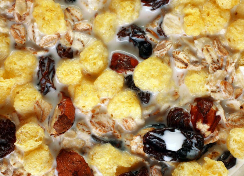 Muesli stock photo. Image of flakes, raisin, organic, fruit 4141568