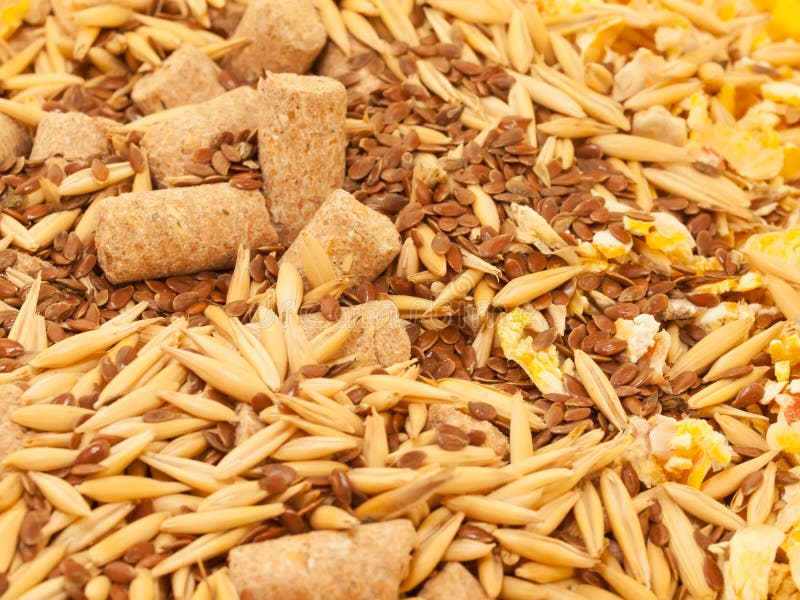 Muesli for Horse Background. Close Up Stock Photo Image of nutrition