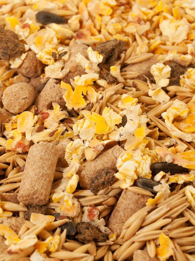 Muesli for Horse Background. Close Up Stock Image Image of flax