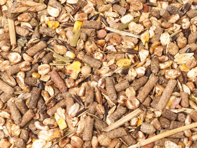 Basic Muesli With Fruits For Horse Background In Form Of Heart