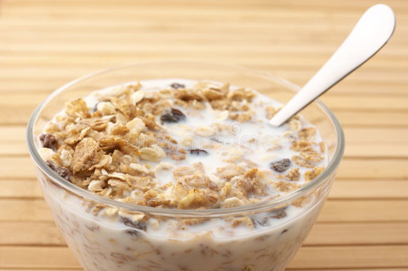 Muesli with milk closeup stock photo. Image of bowl 14272980
