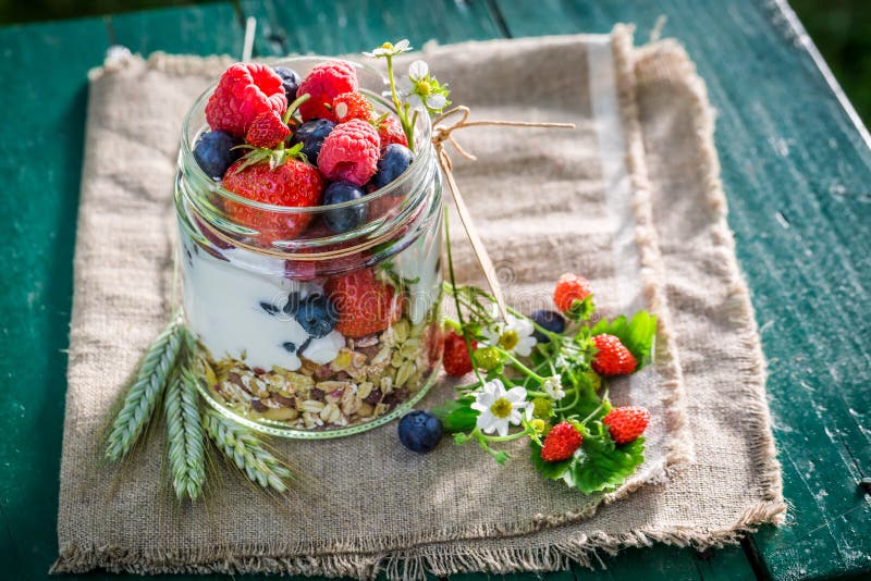 Muesli saporiti con le bacche ed il yogurt nel giorno soleggiato fotografia stock libera da diritti Muesli saporiti con le bacche ed il yogurt nel giorno soleggiato fotografia stock libera da diritti