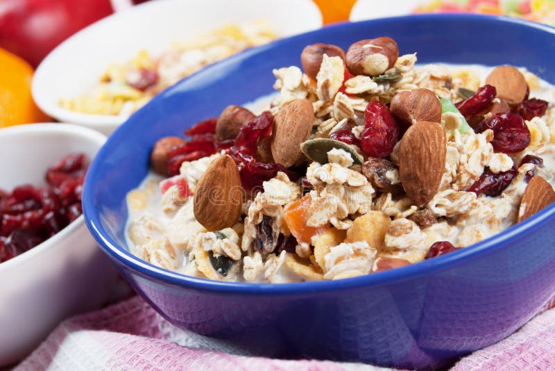 Muesli Van Het Graangewas Met Gedroogd Fruit En Noten Stock Foto