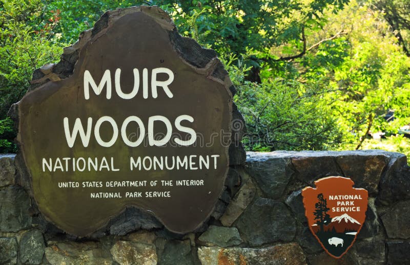 Muestra de Muir Woods National Park Service imagen de archivo Muestra de Muir Woods National Park Service imagen de archivo