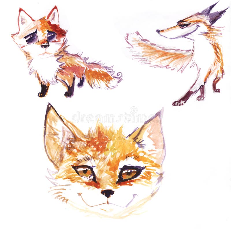 Muestra del arte del parque zoológico de la acuarela del Fox libre illustration Muestra del arte del parque zoológico de la acuarela del Fox libre illustration