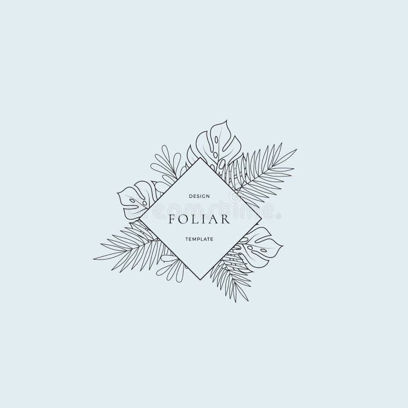 Muestra o Logo Template tropical del boutique de la moda de las hojas Follaje de Monstera con la frontera del Rhombus y con clase ilustración del vector Muestra o Logo Template tropical del boutique de la moda de las hojas Follaje de Monstera con la frontera del Rhombus y con clase ilustración del vector
