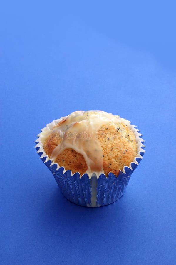 Muffin on Blue 01