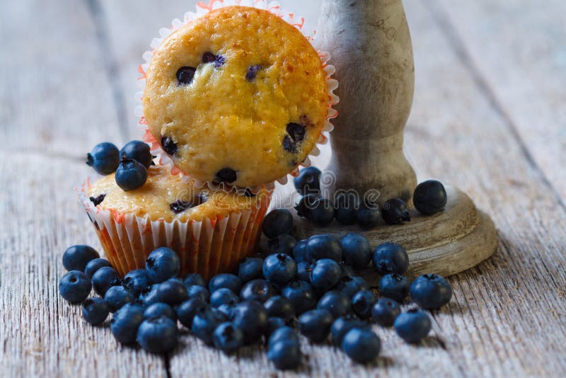 Muffins de mirtilo caseiros fotos de stock royalty free