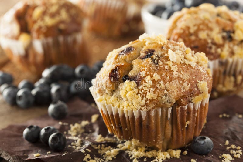 Muffins de Mirtilos Caseiros para o Pequeno-Almoço imagens de stock