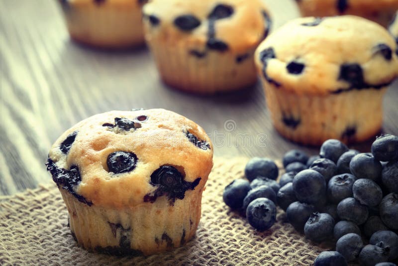 Muffin με τα βακκίνια σε έναν ξύλινο πίνακα φρέσκα μούρα και swe στοκ εικόνες