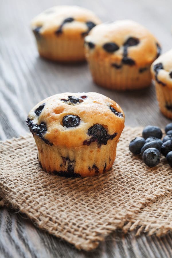Muffin με τα βακκίνια σε έναν ξύλινο πίνακα φρέσκα μούρα και swe στοκ φωτογραφία