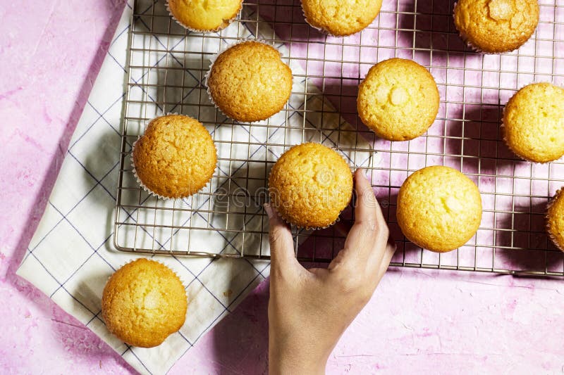 Muffinki z orzechów waniliowych w papierowych kubkach z trzcinami na grillu i trzymające jedną sztukę na różowym tle obrazy stock