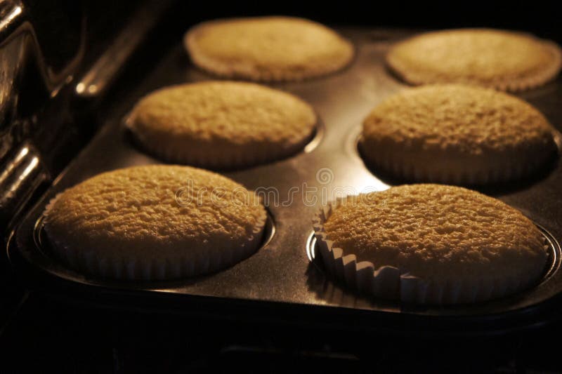 Muffins στοκ φωτογραφία με δικαίωμα ελεύθερης χρήσης Muffins στοκ φωτογραφία με δικαίωμα ελεύθερης χρήσης