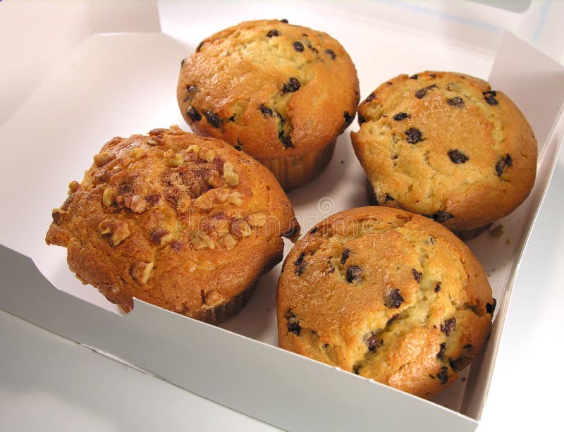Muffins royalty free stock image