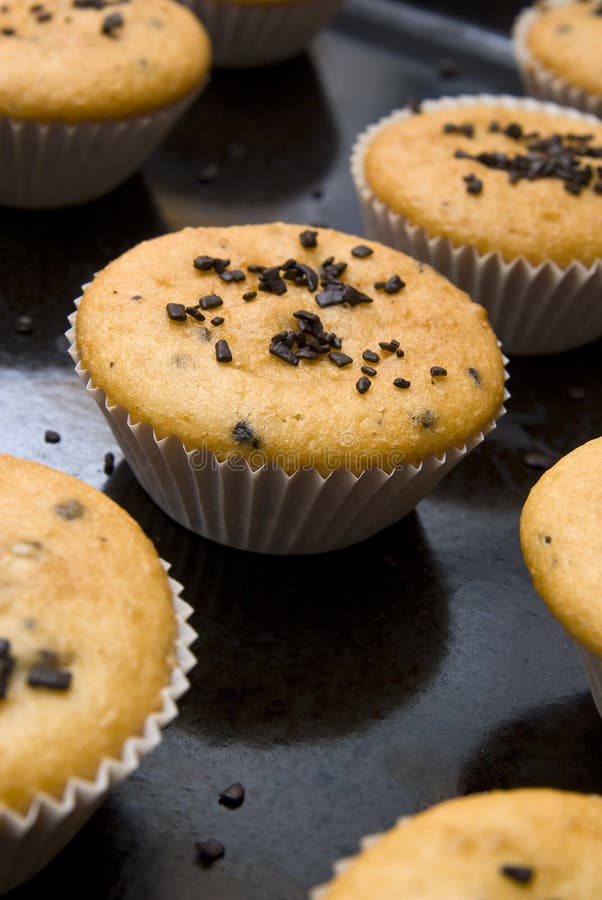 Muffins in cups stock image. Image of muffin, deep, muffins 30781957
